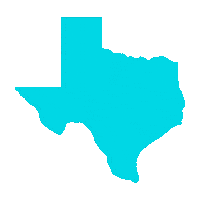 Franchise Dallas Sticker by Voda Cleaning & Restoration