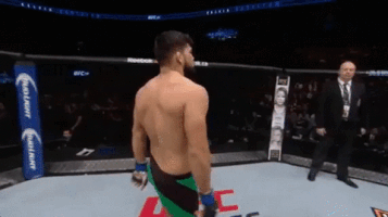 ufc 206 GIF