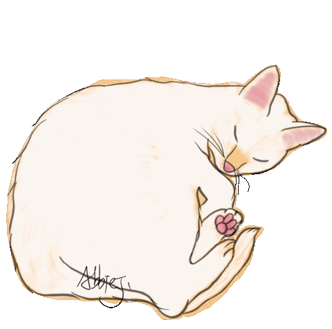 Cat Justin Sticker