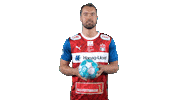 Handball-Bundesliga Sport Sticker by LIQUI MOLY HBL