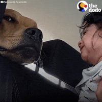 Baby Ignoring GIF by The Dodo