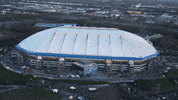 Football Soccer GIF by FC Schalke 04