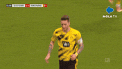 Marco Reus Football GIF by MolaTV