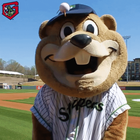 Sports gif. Chopper, the mascot for the Gwinnett Stripers leans back in agitation and stares up at the sky before clenching both hands into fists.