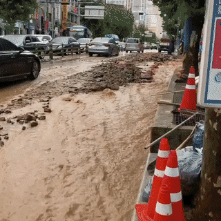 insight_newsroom giphyupload GIF