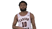 Beard Cnmb Sticker by Carson-Newman Athletics