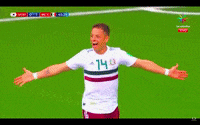 futbol mexicano rusia 2018 GIF by MiSelecciónMX