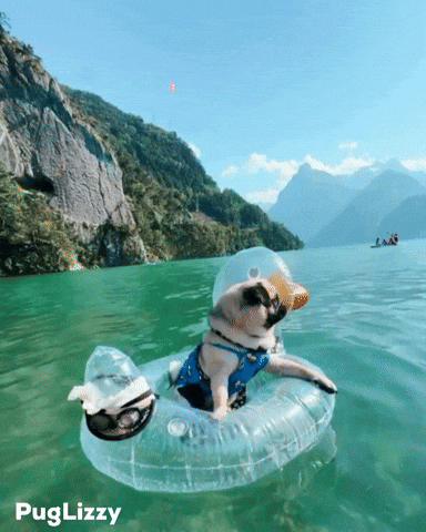 Vacation Enjoy GIF