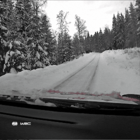 Rally Sweden Snow GIF by FIA World Rally Championship