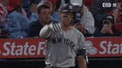 New York Yankees Sport GIF by MLB
