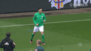 Germany Football GIF by SV Werder Bremen
