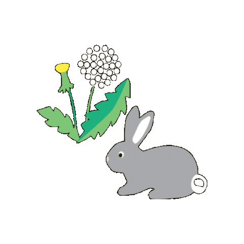 Bunny Rabbit Sticker by Toby tiger
