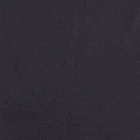 Major League Soccer GIF by San Jose Earthquakes