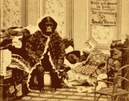 stereogram vintage photo by GIF IT UP