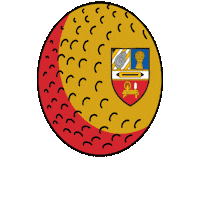 BanbridgeHC bhc eyleague banbridgehockey banbridge hockey club Sticker