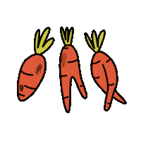 bruizedco carrots imperfect uglyfruit uglyveggie Sticker