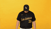 Cal State La Sport GIF by Cal State LA Golden Eagles