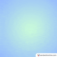 Surprise Wow GIF by sendwishonline.com