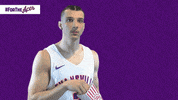 Purple Aces Evansville GIF by UE Athletics