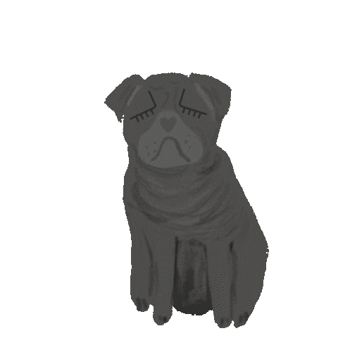 dogs pug Sticker by Nelly Castro