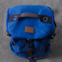 Qlstyle fun travel qvi qlifestyle GIF