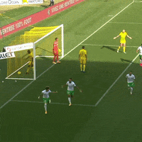 Football Sliding GIF by AS Saint-Étienne