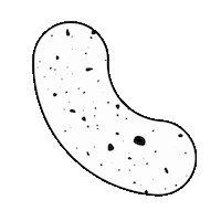 juschnee ju juschnee ju schnee Sticker