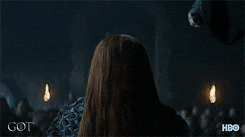 sophie turner finale GIF by Game of Thrones