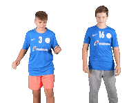 Mc Sticker by THE DOGS - TSV Pfungstadt Handball
