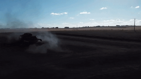 sementescerquinha giphyupload sementes cerquinha GIF