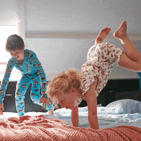GIF by Liona
