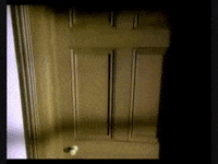 def leppard GIF