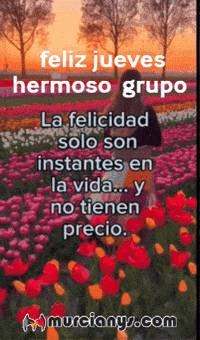 En La Vida Amigos GIF by Murcianys LLC