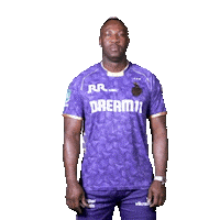 Kolkata Knight Riders Ipl Sticker by Knight Riders Sports
