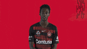 western sydney wanderers football GIF by wswanderersfc