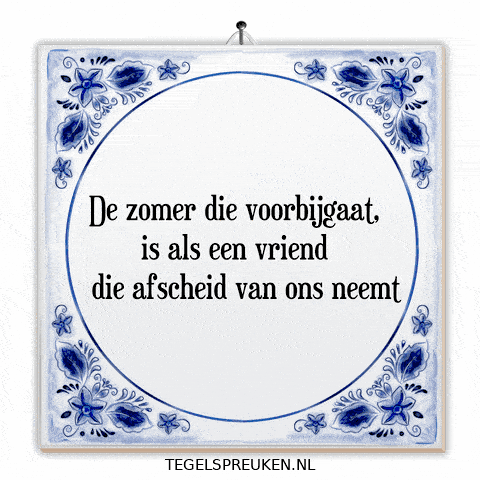 Humor Moment GIF by Tegelspreuken.nl