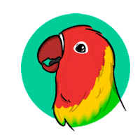Bird Pet Sticker by Niditto.Piu