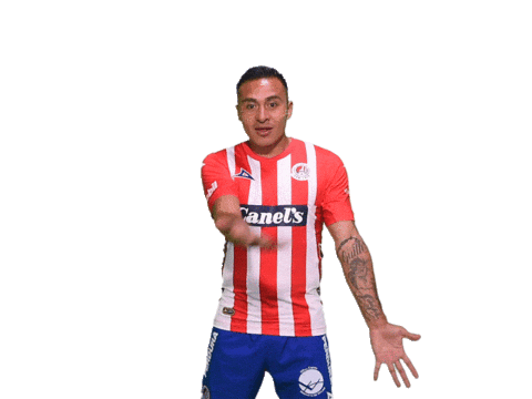 AtletiDeSanLuis giphyupload soccer goal futbol Sticker