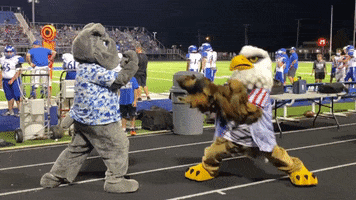 Mad Mascot Fight GIF by The Hubbard Eagle