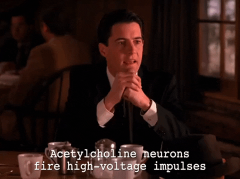 season 1 agent cooper GIF by Twin Peaks on Showtime