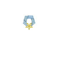 Medal Of Honor Texas Sticker by National Medal of Honor Museum