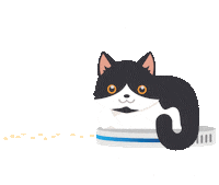 4Gatos Sticker