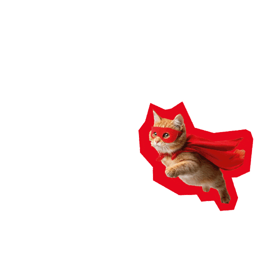 Cat Hero Sticker by Deutscher Gewerkschaftsbund (DGB)