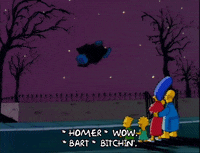 Season 2 Episode 3 GIF by The Simpsons