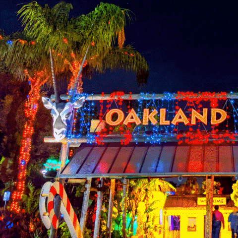 OaklandZoo zoo oakland zoolights ozlights GIF