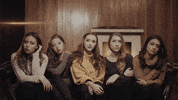 GIF by Ventino