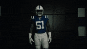 Football Sport GIF by Indianapolis Colts