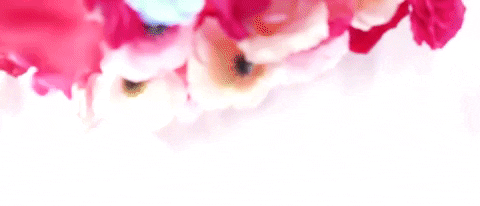 Fueled By Ramen Flower GIF by Meet Me @ The Altar