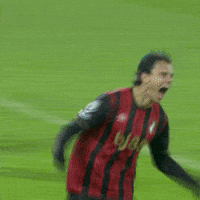 Happy Premier League GIF by AFC Bournemouth