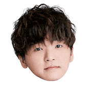 Fw Flashwolves Sticker